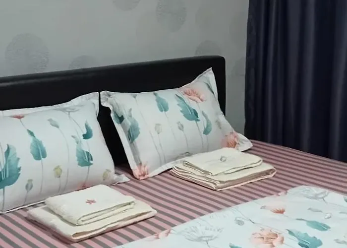 Stoian 公寓 科斯蒂内什蒂