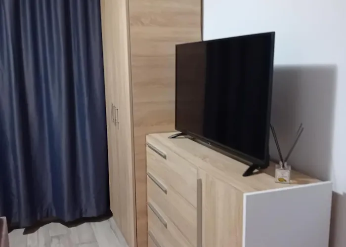 公寓 Stoian 科斯蒂内什蒂