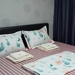 Stoian 公寓 科斯蒂内什蒂